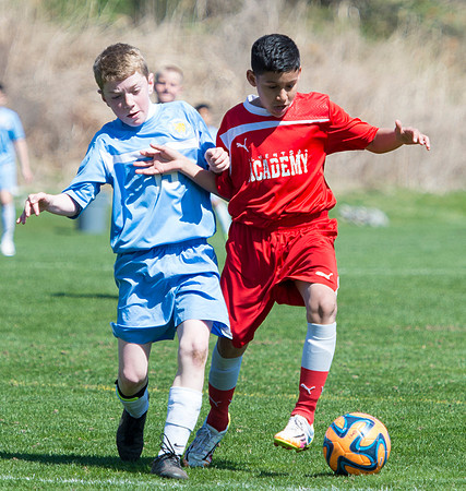 20140418-_DSC3831