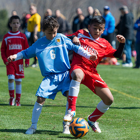 20140418-_DSC3579