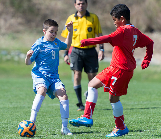 20140418-_DSC3775
